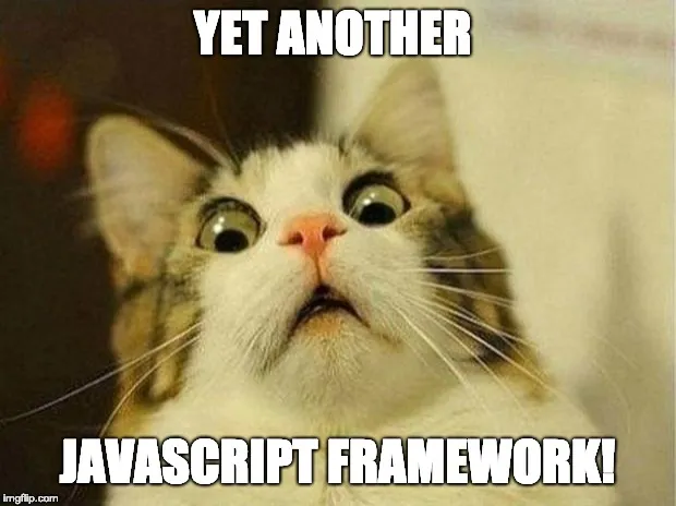 Meme of a shocked cat: yet another JavaScript framework!