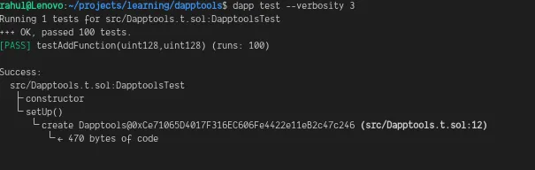 Terminal output of a fuzz test passing 100 runs